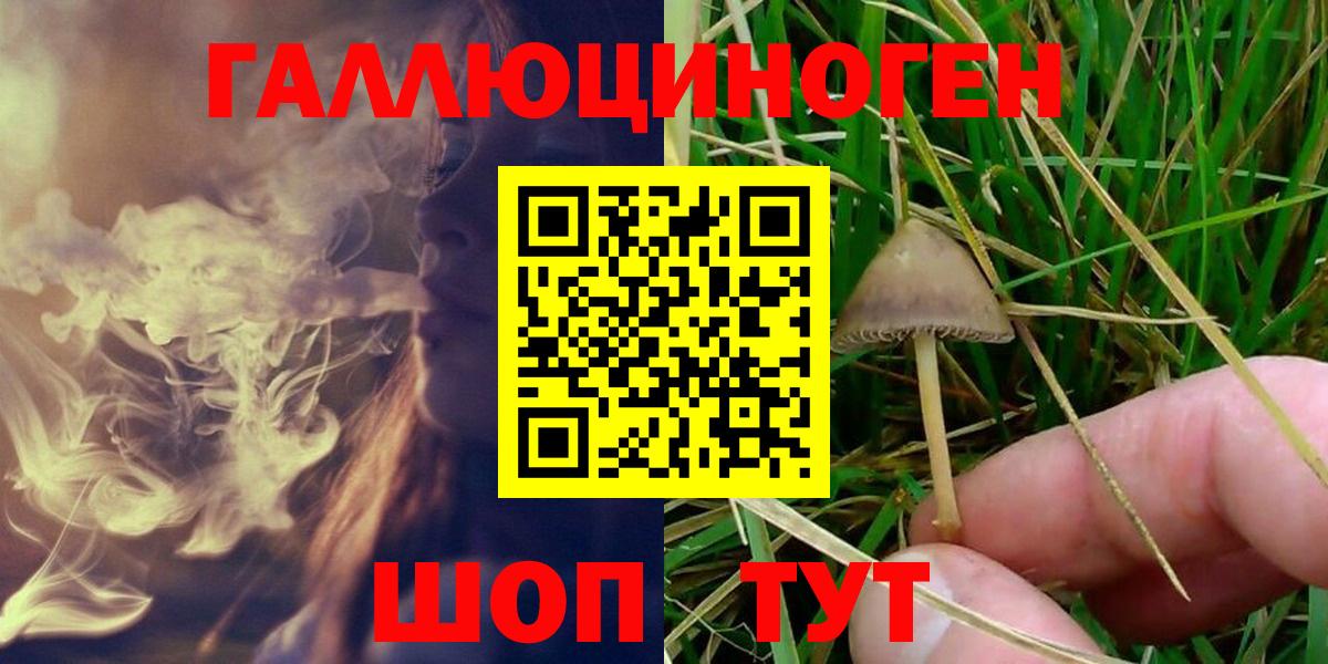 Псилоцибиновые грибы Magic Shrooms Аксай